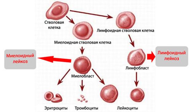 Как восстановить пароль на кракене