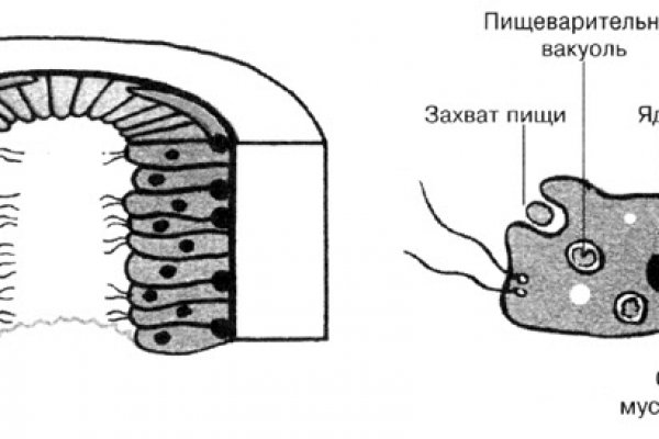 Kraken 13at зеркало